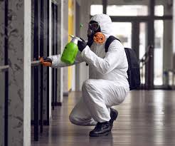 Mold Odor Removal Services in Westbrook, ME